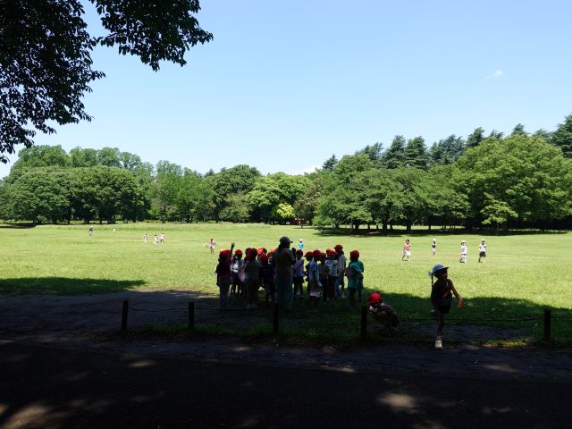 １年生　小金井公園遠足