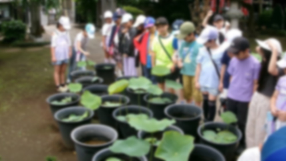 ２年生　生活科「町たんけん」